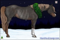 Horse Color:Liver Chestnut Rabicano 