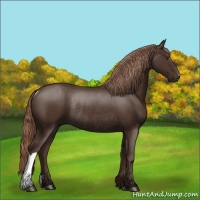 Horse Color:Liver Chestnut Rabicano 