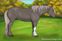 Horse Color:Silver Black 