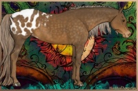 Horse Color:Chocolate Palomino Appaloosa