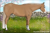 Horse Color:Chestnut Splash 
