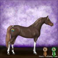 Horse Color:Liver Chestnut Tobiano Rabicano