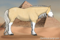 Horse Color:Silver Buckskin Roan Splash 