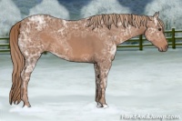 Horse Color:Chestnut Ice 