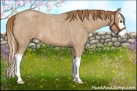 Horse Color:Red Roan Splash 
