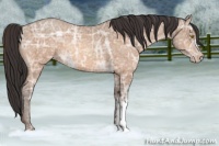 Horse Color:Amber Champagne Ice 