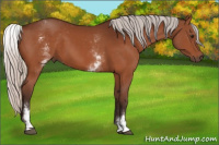 Horse Color:White Spotted Silver Brown