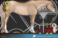 Horse Color:Chocolate Palomino Pearl 