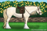 Horse Color:Buckskin Roan Pearl and Buckskin Roan Pearl