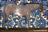 Horse Color:White Spotted Brown Roan Frame