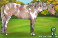 Horse Color:Nacre White Spotted Chocolate Silver Brown Ice
