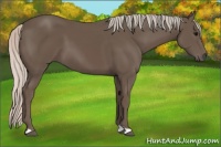 Horse Color:Silver Black 