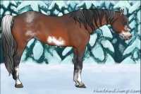 Horse Color:White Spotted Bay Roan Frame 