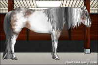Horse Color:White Spotted Brown Roan Frame 