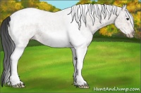 Horse Color:White Spotted Bay Ice 