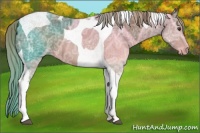 Horse Color:Chestnut Ice Tobiano