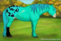 Horse Color:Painted Palomino Ice Appaloosa 