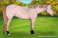 Horse Color:Red Dun Ice 