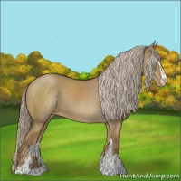 Horse Color:Chocolate Palomino Dun Sabino Appaloosa 