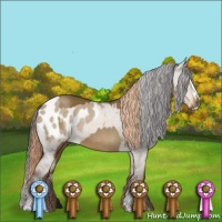 Horse Color:Chocolate Palomino Roan Sabino  and Liver Red Dun Roan Sabino Blanket 