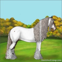Horse Color:Silver Brown Tobiano Near Fewspot 