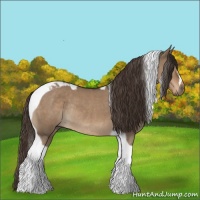 Horse Color:Liver Red Dun Tobiano Rabicano
