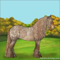 Horse Color:Liver Red Roan Appaloosa Rabicano  and Chocolate Palomino Roan 