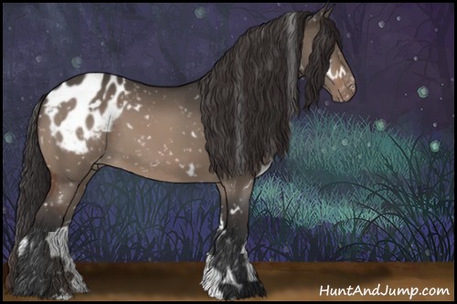 Horse Color:White Spotted Bay Dun Appaloosa 