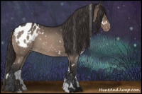 Horse Color:White Spotted Bay Dun Snowflake Varnish 