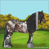Horse Color:White Spotted Brown Ice and White Spotted Brown
