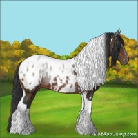 Horse Color:White Spotted Brown Tobiano Blanket 