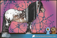 Horse Color:White Spotted Brown Appaloosa