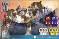 Horse Color:White Spotted Chocolate Palomino  and White Spotted Chocolate Palomino 