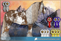 Horse Color:White Spotted Chocolate Palomino and White Spotted Chocolate Palomino