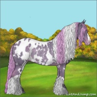 Horse Color:Watercolor White Spotted Chocolate Palomino Appaloosa Rabicano