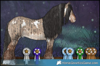 Horse Color:White Spotted Liver Chestnut Appaloosa  and White Spotted Liver Red Dun 
