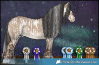 Horse Color:White Spotted Liver Chestnut Appaloosa and White Spotted Liver Red Dun