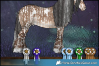 Horse Color:White Spotted Liver Chestnut Appaloosa  and White Spotted Liver Red Dun 