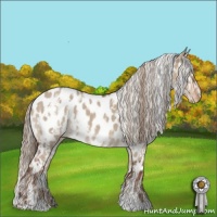 Horse Color:White Spotted Liver Red Dun Roan Appaloosa  and White Spotted Liver Red Dun Roan Appaloosa 
