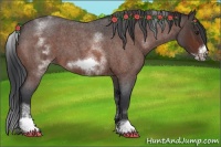Horse Color:White Spotted Brown Roan Frame