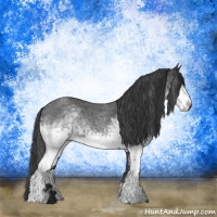 Horse Color:White Spotted Blue Roan
