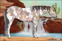 Horse Color:Nacre White Spotted Bay Ice 