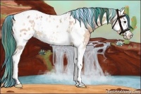 Horse Color:Painted Nacre Bay Roan Splash Tobiano Appaloosa 