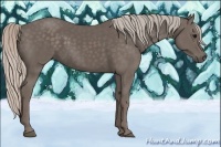 Horse Color:Silver Black 