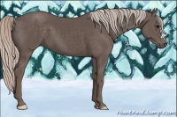 Horse Color:Silver Black 