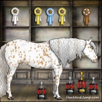 Horse Color:Palomino Appaloosa and Palomino Splash Appaloosa