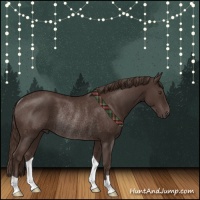 Horse Color:Liver Chestnut Rabicano 