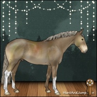 Horse Color:Chocolate Palomino 