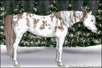 Horse Color:White Spotted Liver Chestnut Splash 