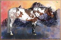 Horse Color:White Spotted Bay Ice 